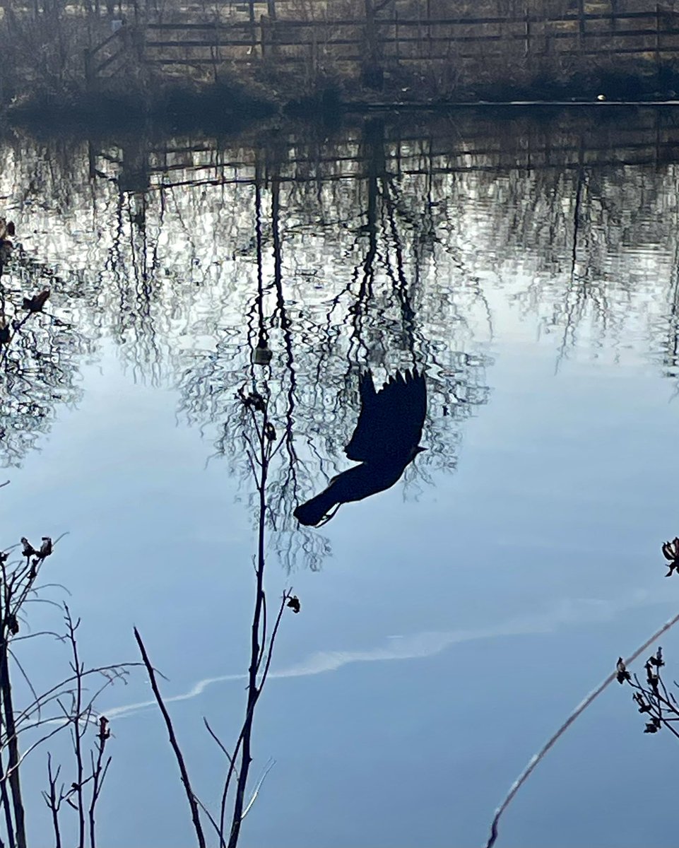 Travis Hord tweet media