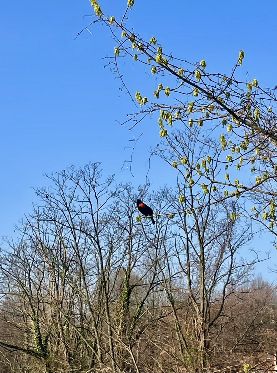 Travis Hord tweet media