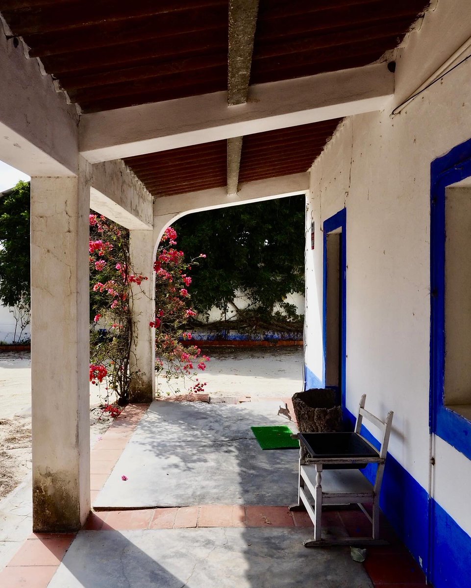 Harry Ballmann tweet media