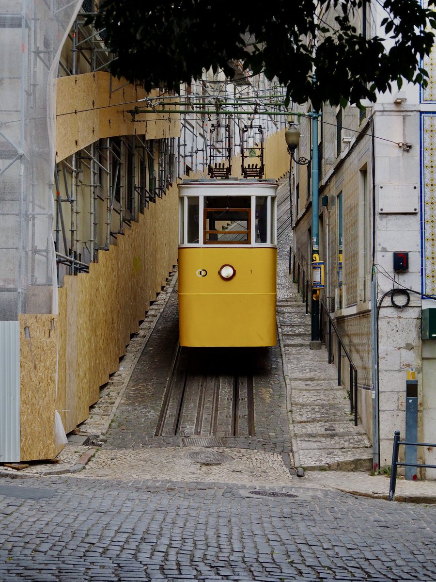 Harry Ballmann tweet media