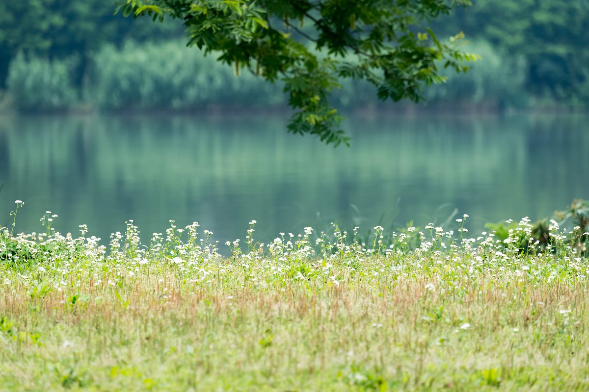 Junaidi Zakariya tweet media