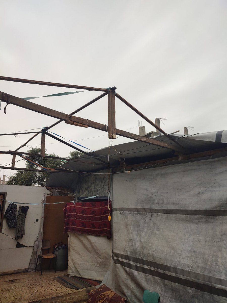 Muhammad ibn Gaza tweet media