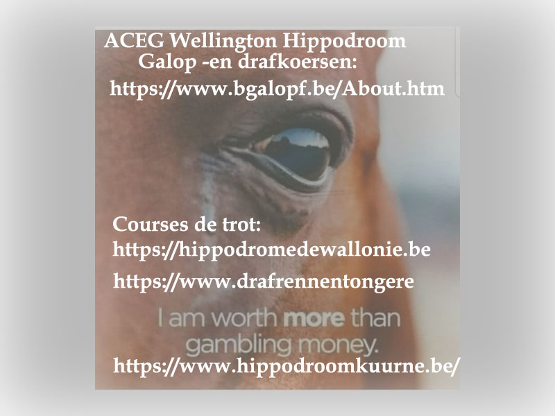 Leen Neus tweet media