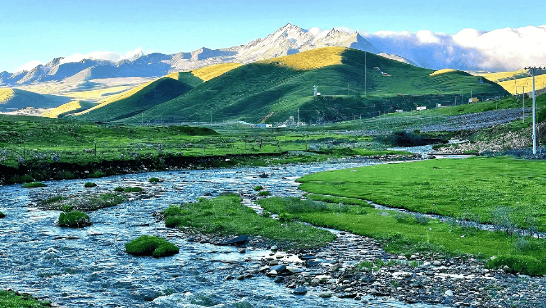 john carvillano tweet media