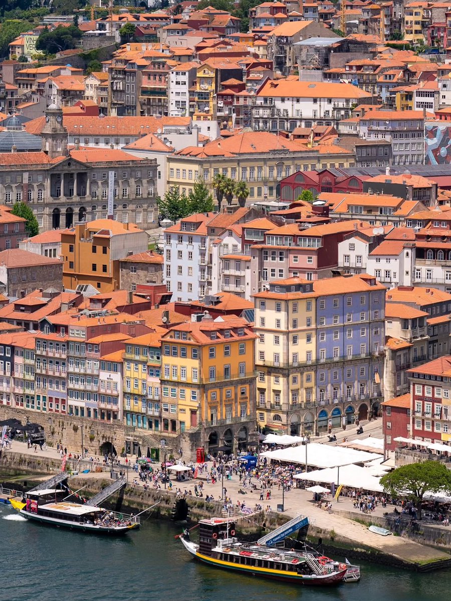 WanderLens tweet media