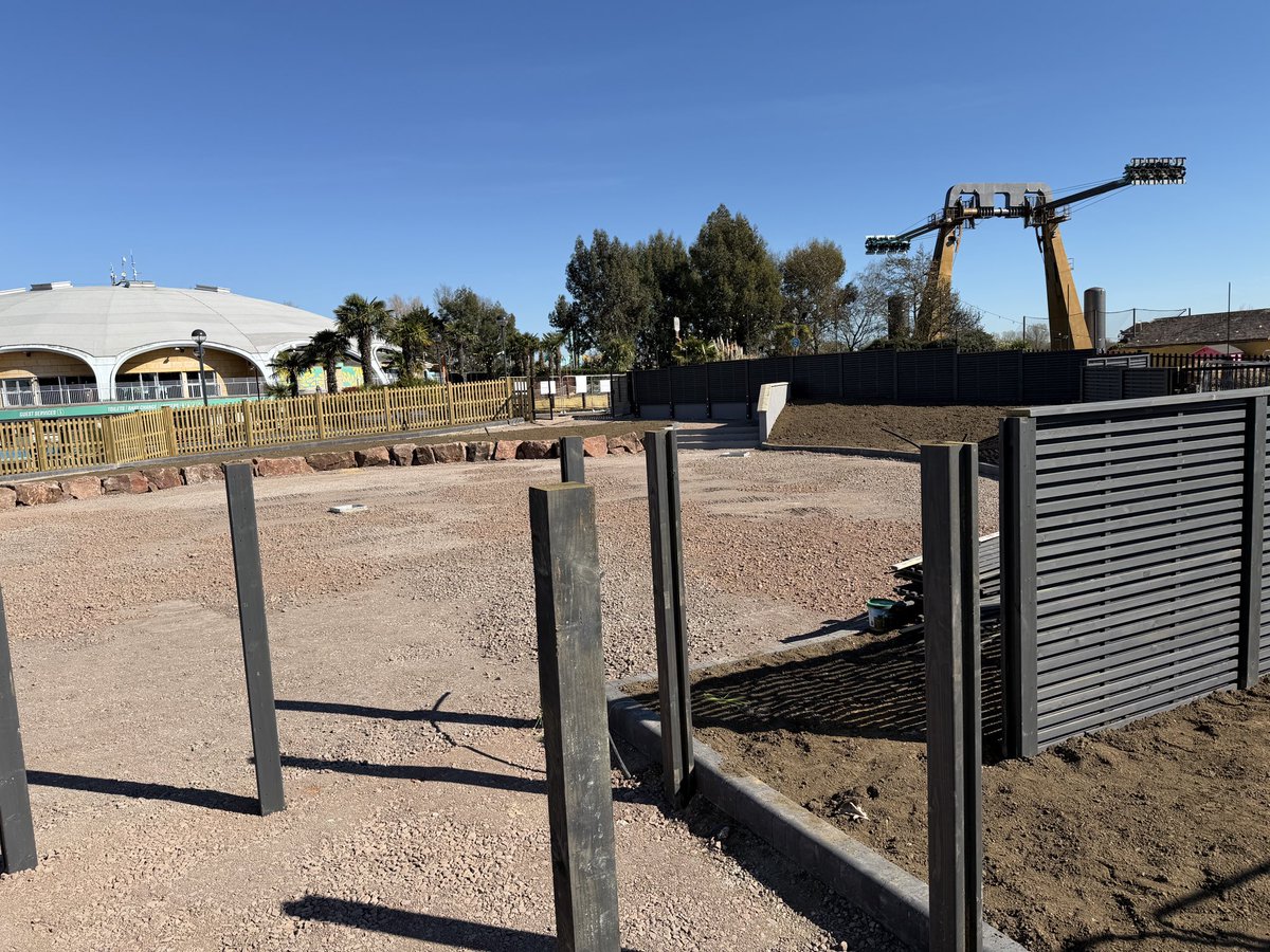 Attraction Source tweet media