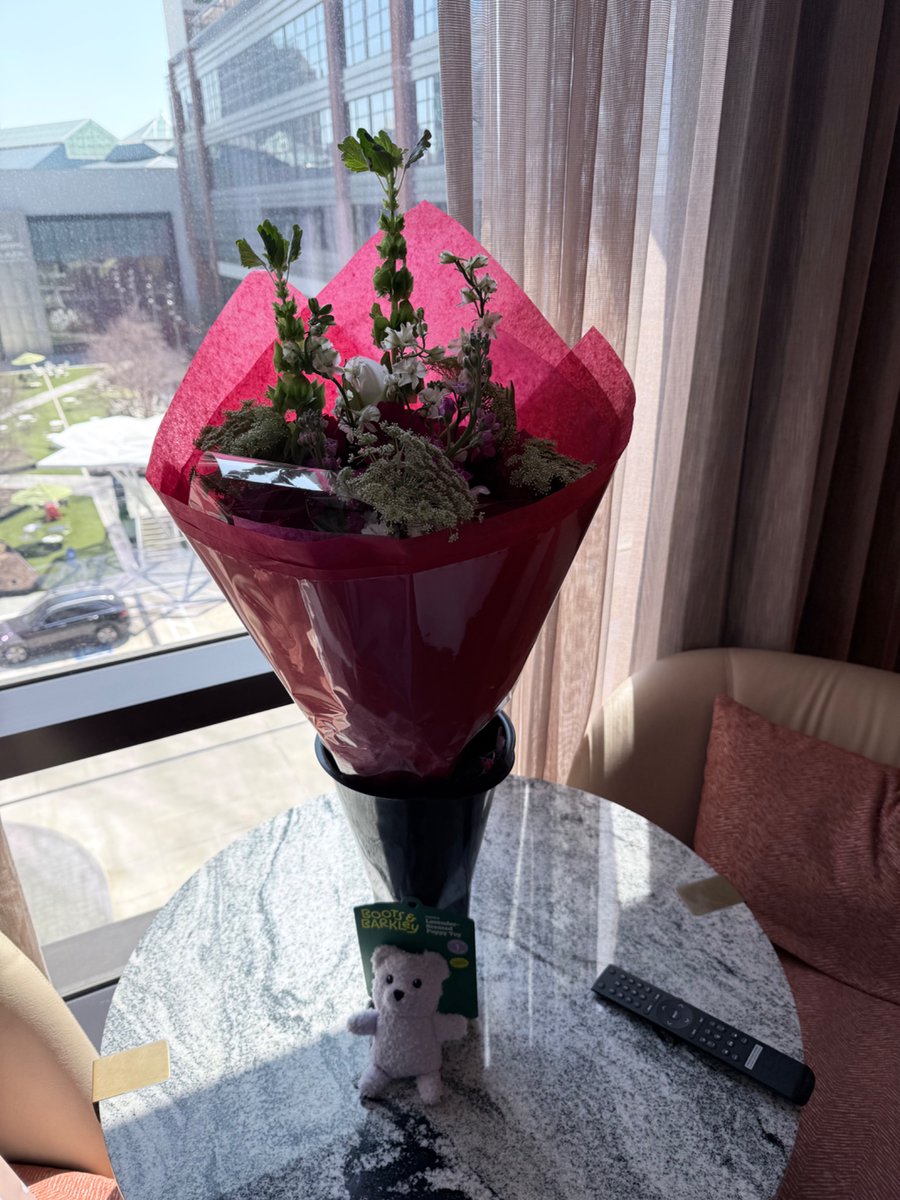 Rebekka Ray tweet media