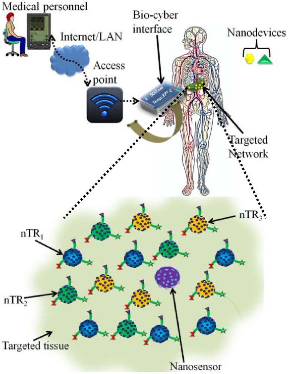 TransHuman tweet media