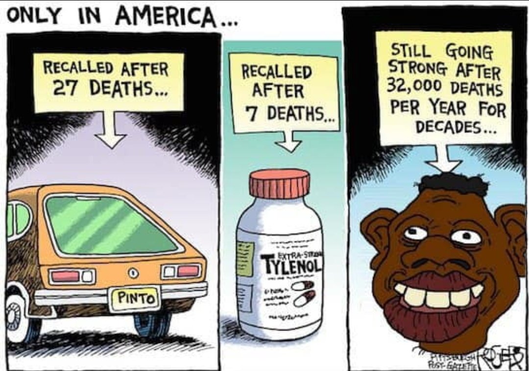 <a href="/RepPressley/">Congresswoman Ayanna Pressley</a> Lady, they are lucky they get to go home. If we were a serious country and not the JEWnited States, we Americans would get a bounty for every illegal we capture.