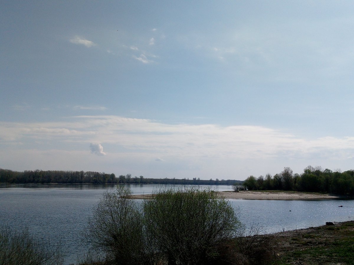 Витез варошког реда Јеремија Др Kрстић tweet media