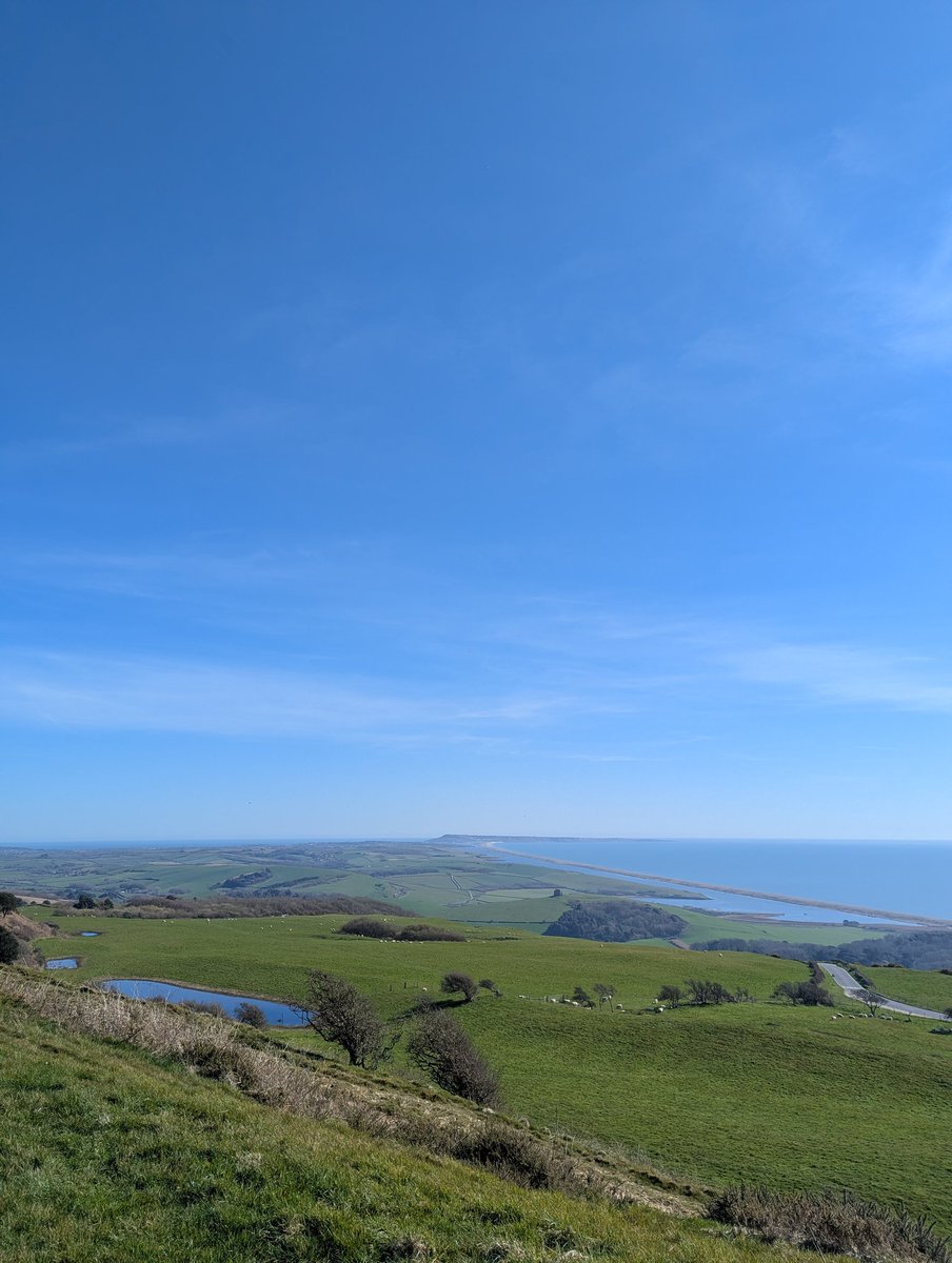 Mr Ian B tweet media