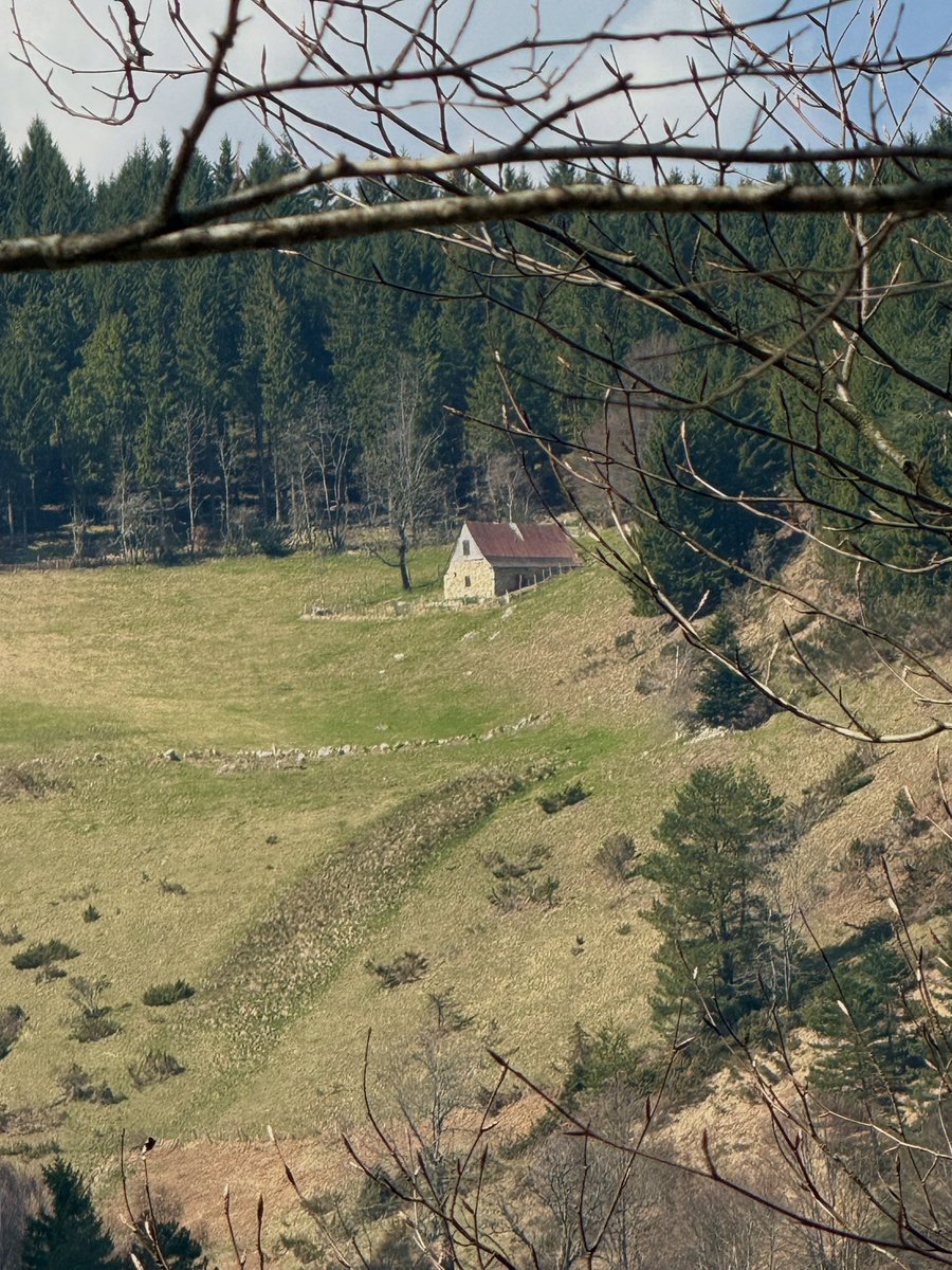 arracheuse2️⃣calories tweet media