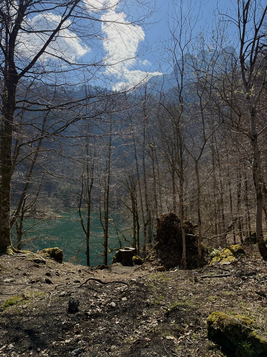 arracheuse2️⃣calories tweet media