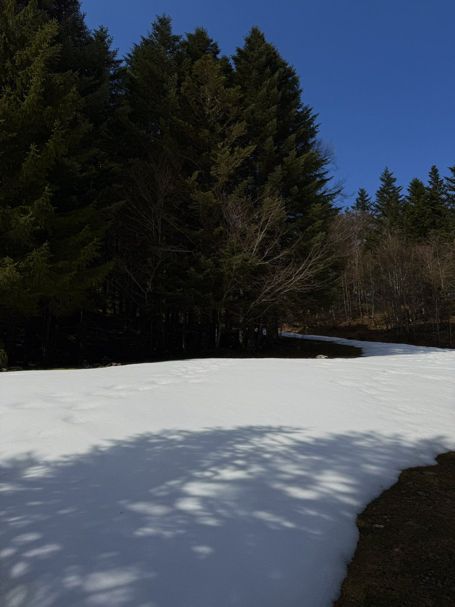 arracheuse2️⃣calories tweet media