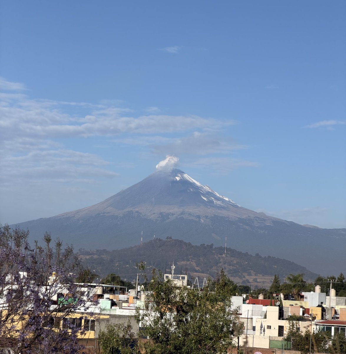 Alma Valdivia tweet media