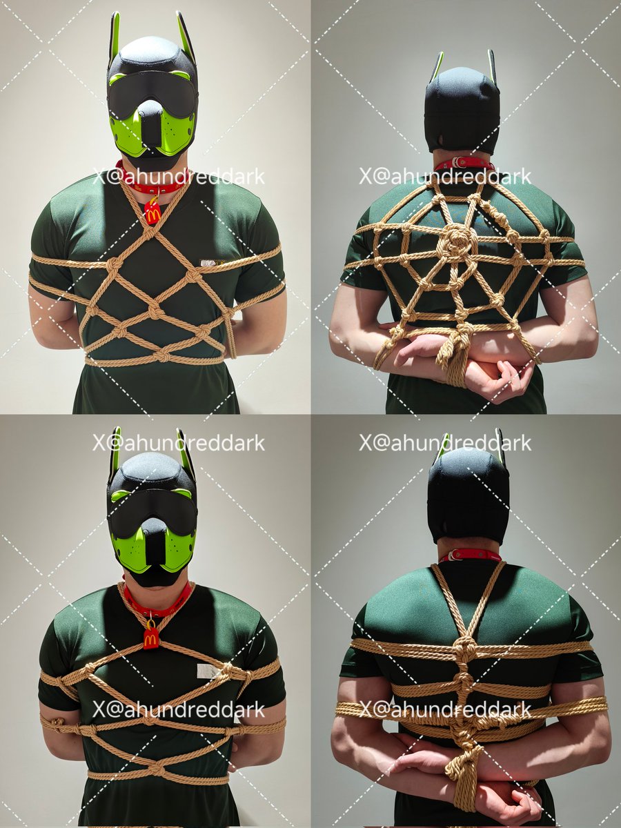 ahundreddark(龙翔) tweet media