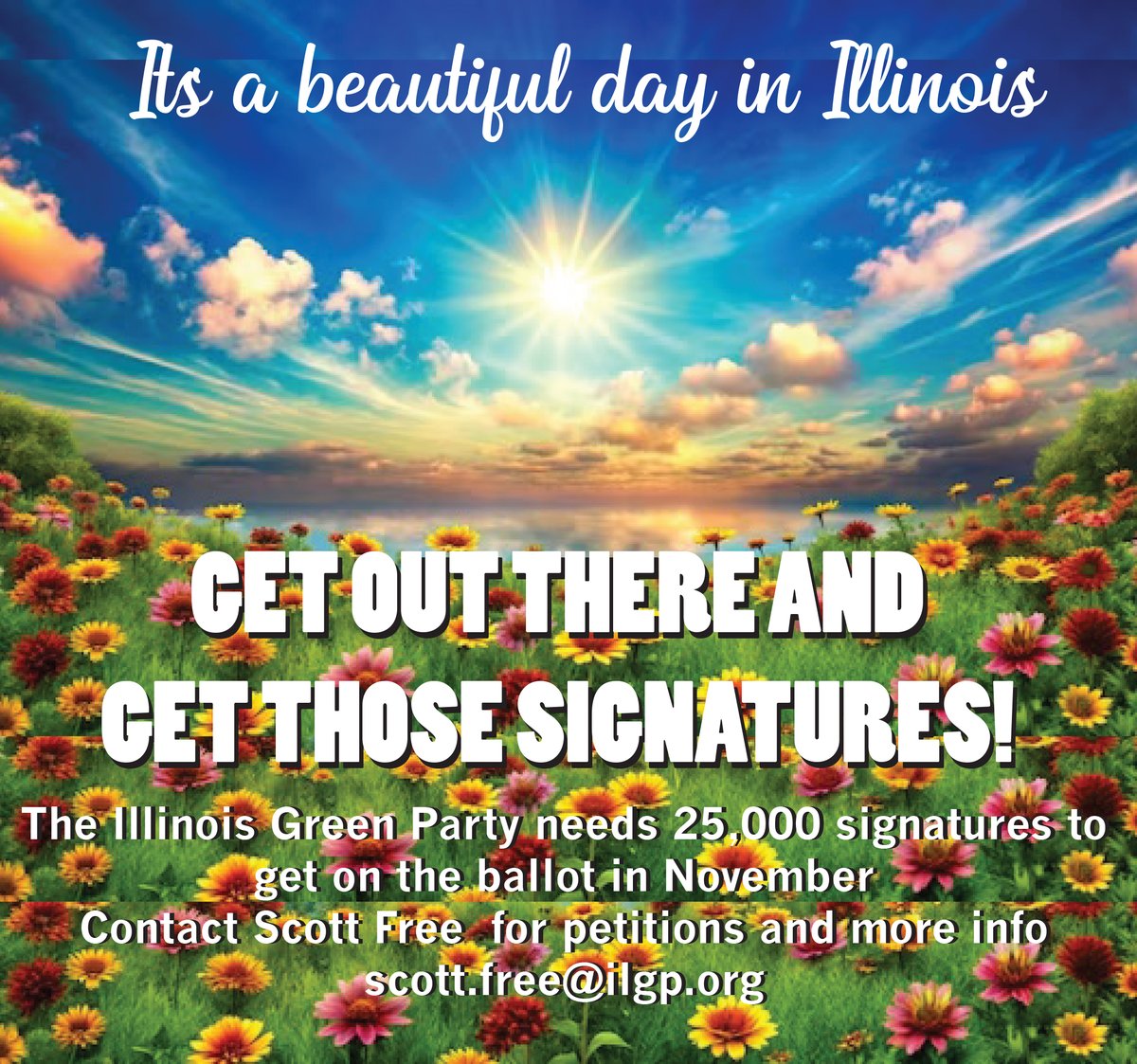 IllinoisGreenParty🌻 tweet media