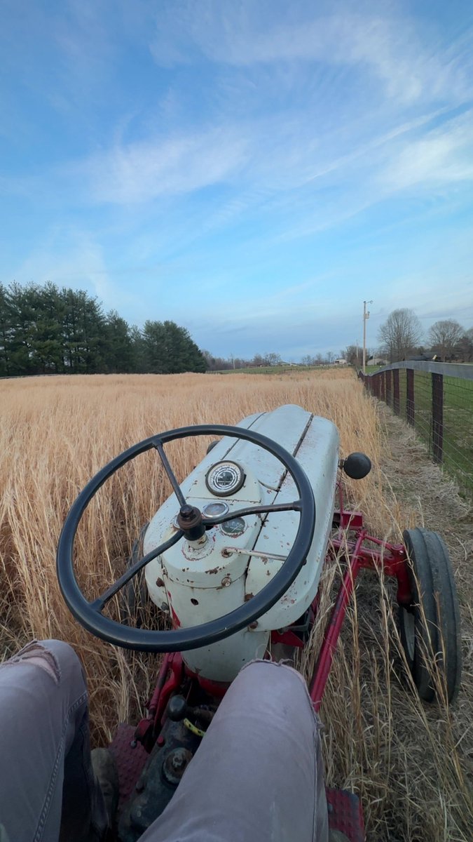 farns79's tweet photo. 1953 Ford still working hard in 2026 https://t.co/32q4M9cgsE
