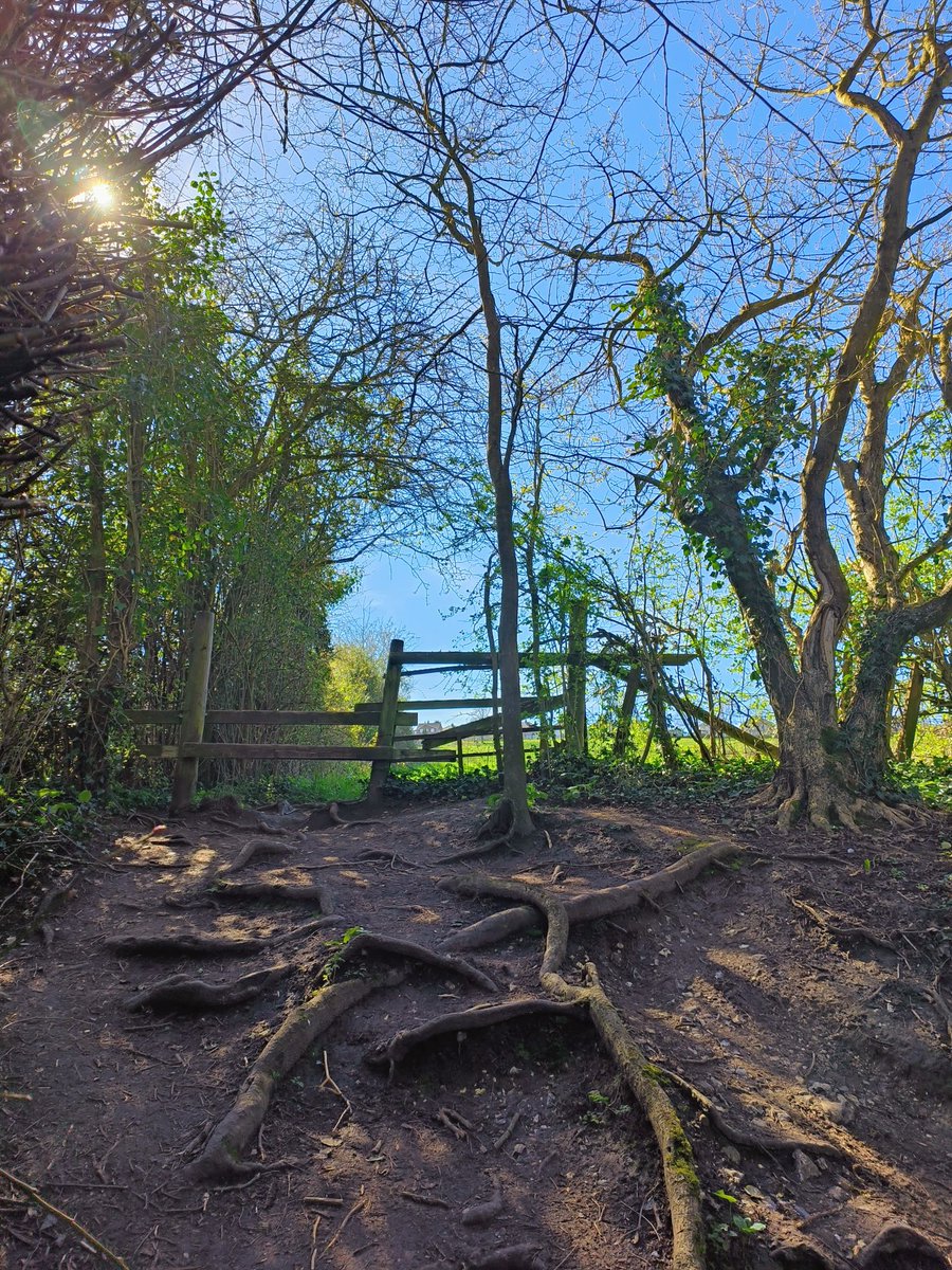 LadyGrace27's tweet image. A perfect day for miles, smiles, and moving...☀️

#saturdayvibes #running #countryside #outdoors #NatureVibes