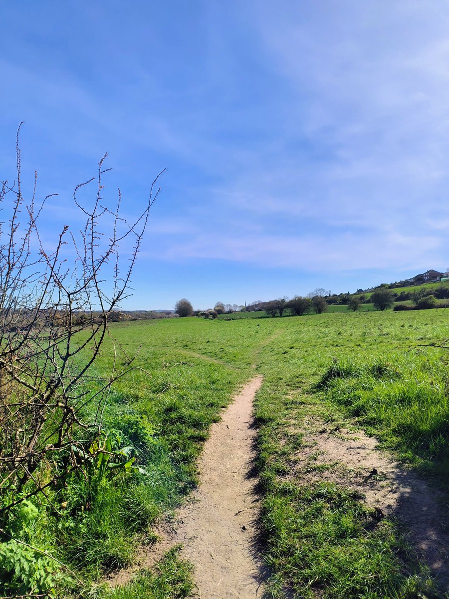LadyGrace27's tweet image. A perfect day for miles, smiles, and moving...☀️

#saturdayvibes #running #countryside #outdoors #NatureVibes