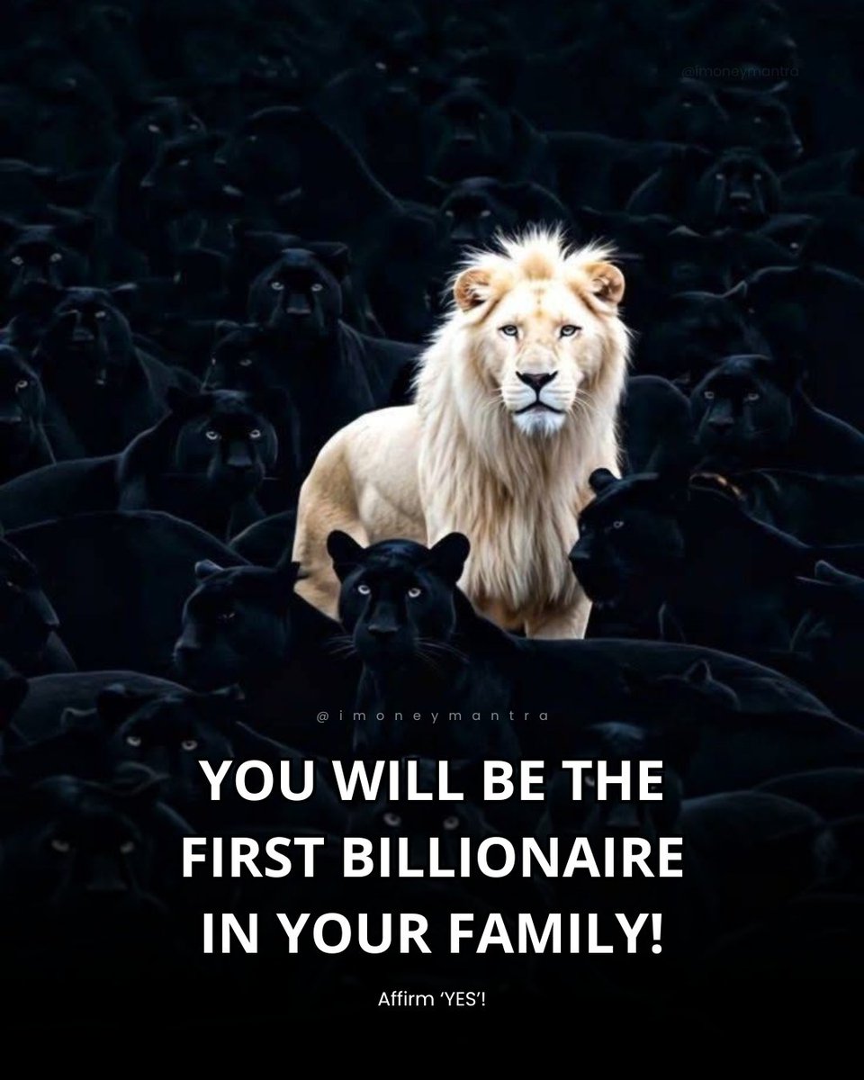 Money Mantra tweet media