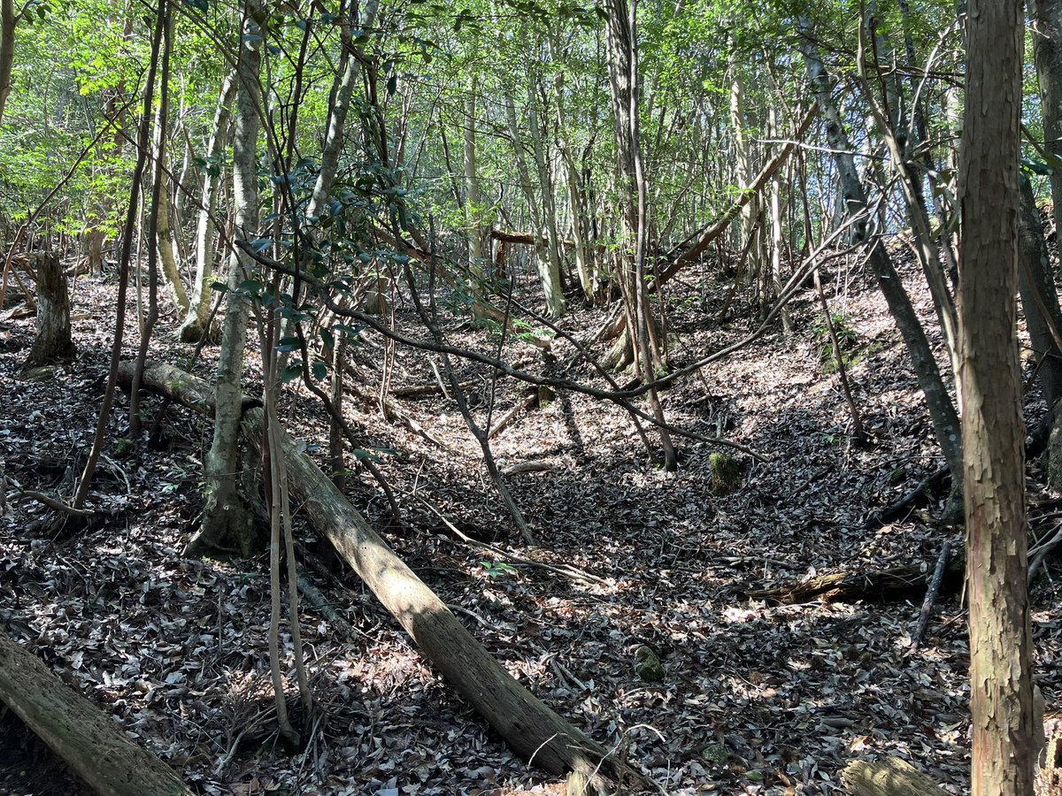 けいき〈LeFraisier〉 tweet media