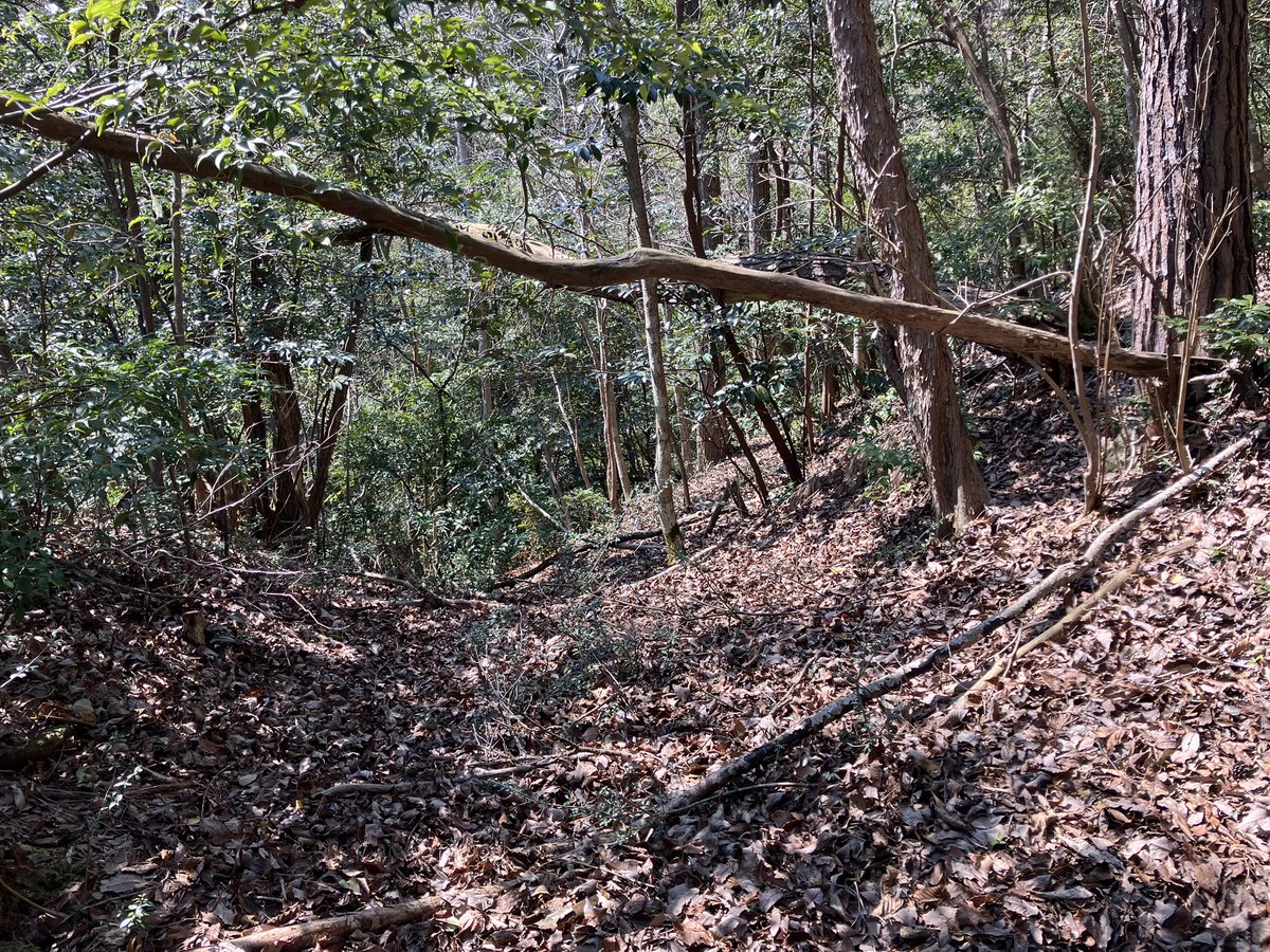 けいき〈LeFraisier〉 tweet media