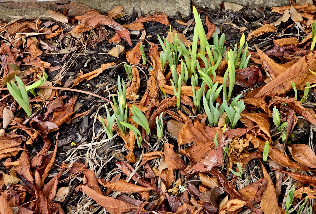 O'teach John tweet media