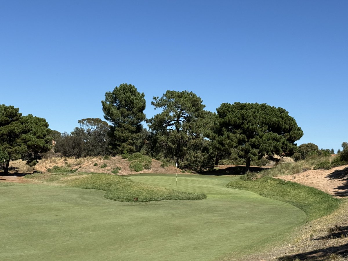 Rick Golfs tweet media