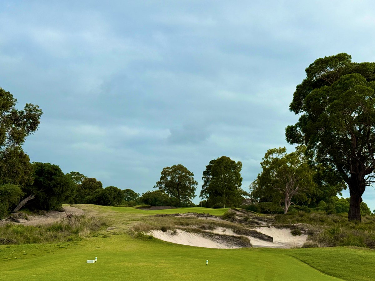 Rick Golfs tweet media