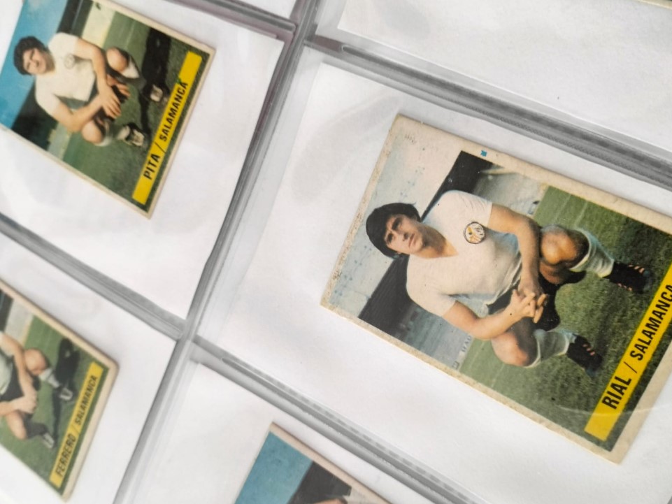 Desde mi grada vieja tweet media