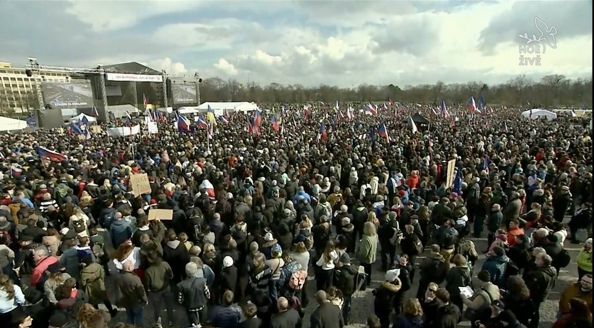 Pavla Morysova🎭🦊 tweet media