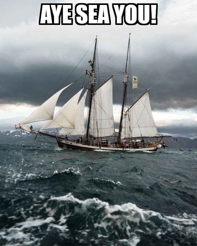 Charlie Lost in the Woods 🐦⬛⍟🎖 tweet media