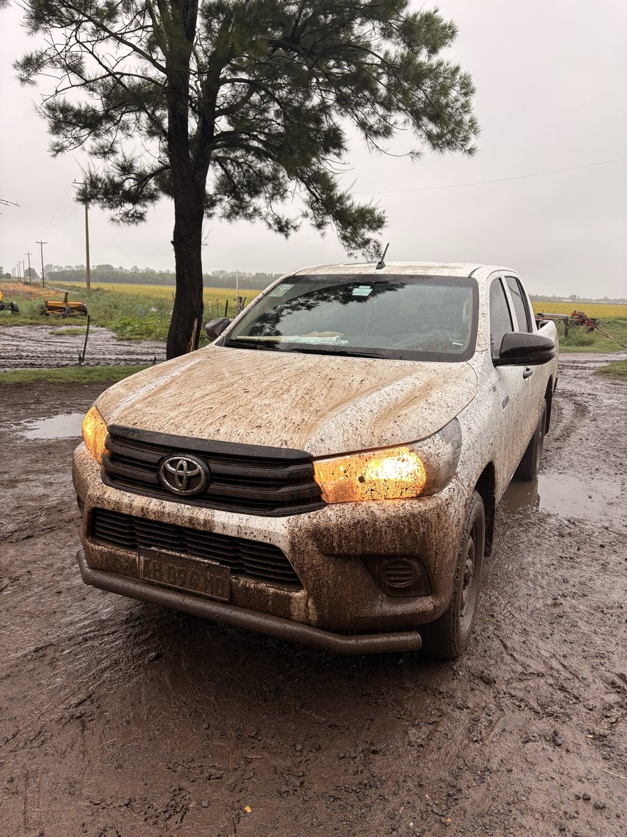 GasparPermin's tweet photo. IATF 🐮🥩⛈️🚀💪
No le aflojamos ni abajo del agua https://t.co/07uuokSGaQ
