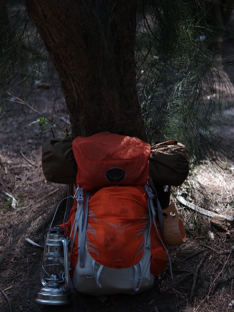 Ayurvedic Treatment tweet media