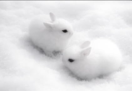 ピナゃ tweet media