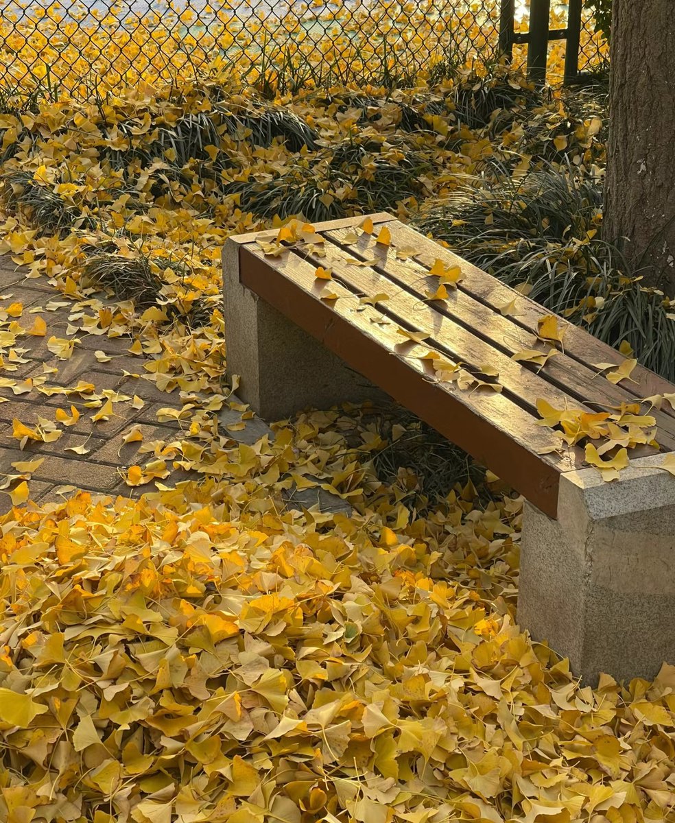 Identy Bot tweet media