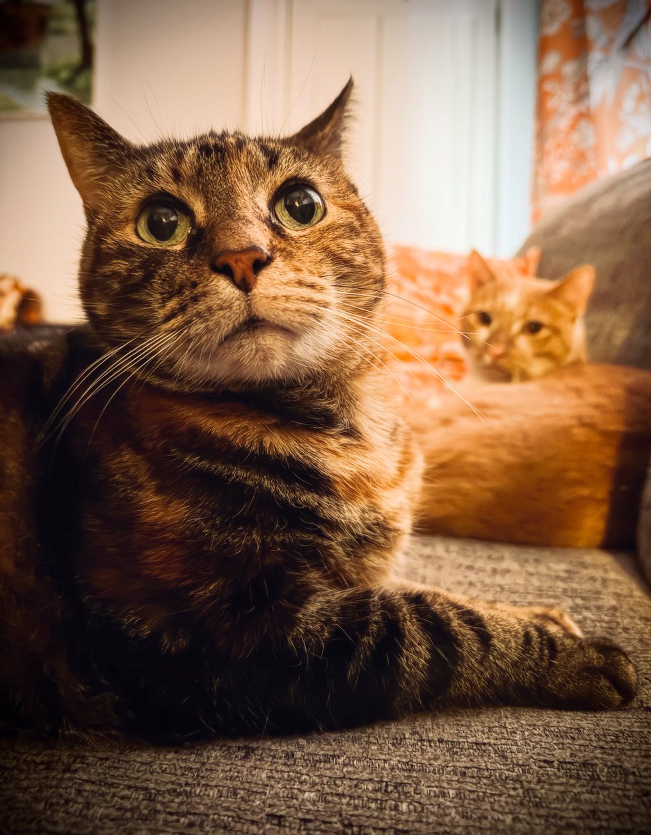 Andrew Hilary🇵🇸 tweet media