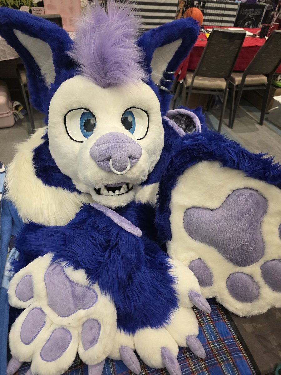 GSY Fursuits 🐾🪡🇨🇦 tweet media