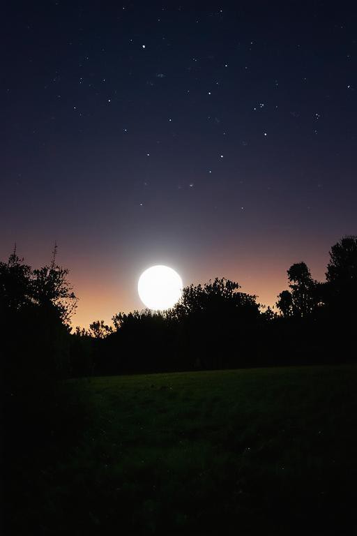 tushar pol tweet media