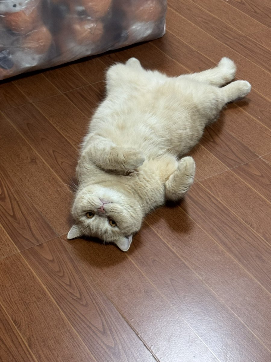 บีมกับน้องๆ tweet media