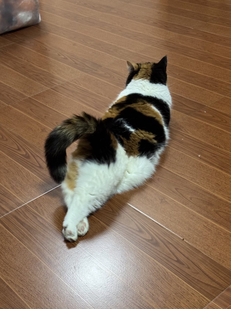 บีมกับน้องๆ tweet media