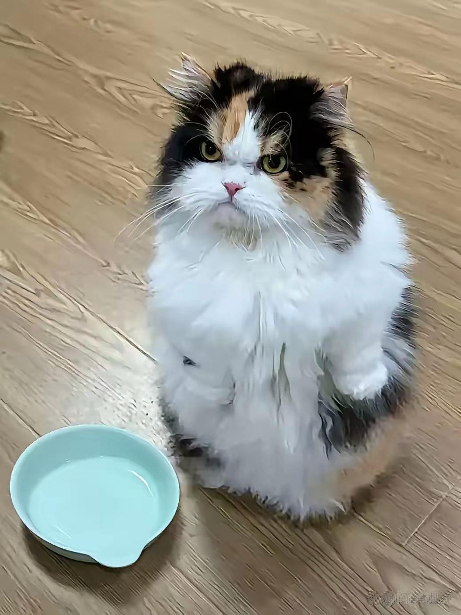 jona david tweet media