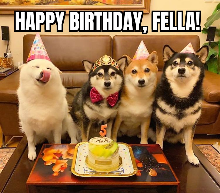 stereovaikutelma tweet media