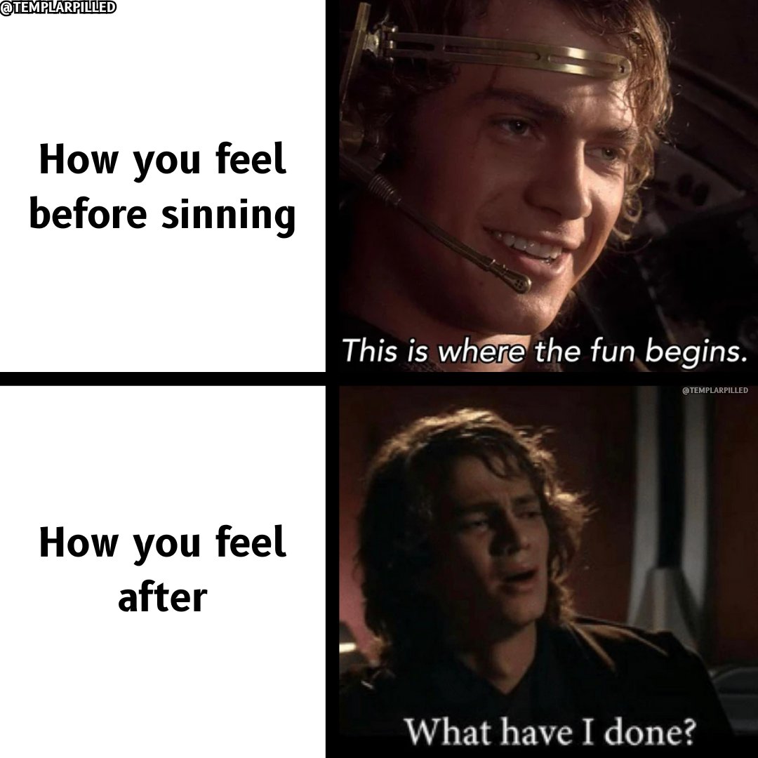 Templarpilled tweet media