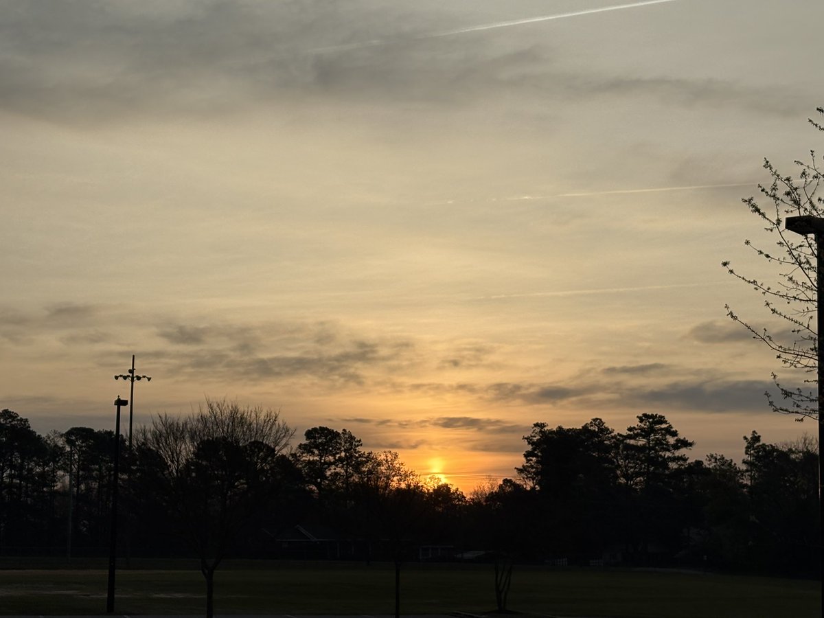 Spackle's Speedsters tweet media