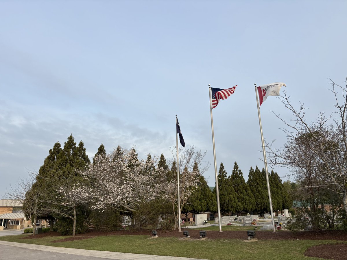 Spackle's Speedsters tweet media