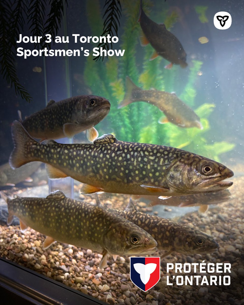 Pêche et Faune ON tweet media