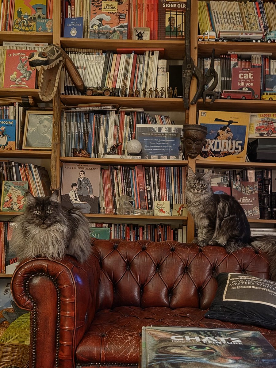 Claude Moniquet tweet media