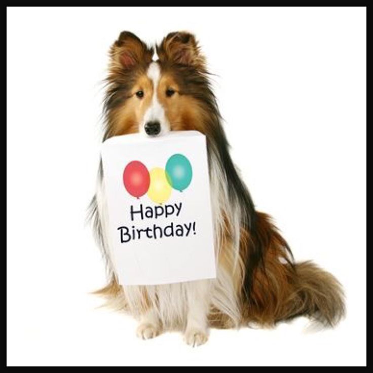 Urbán Zoltán🇪🇺🇭🇺🏳️‍🌈❤️ tweet media